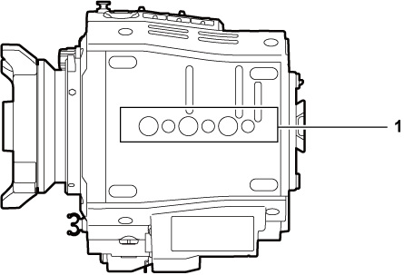 body_parts_35_lowerside