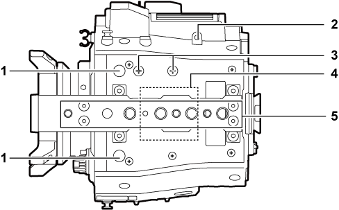 body_parts_35_upperside