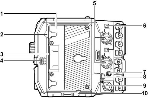 body_parts_rec_backside