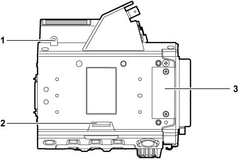 body_parts_rec_upperside