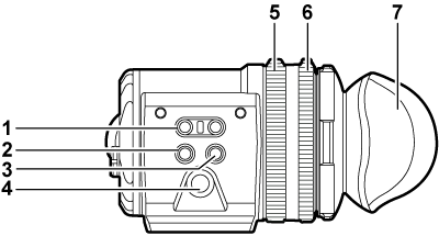 body_parts_vf_leftside