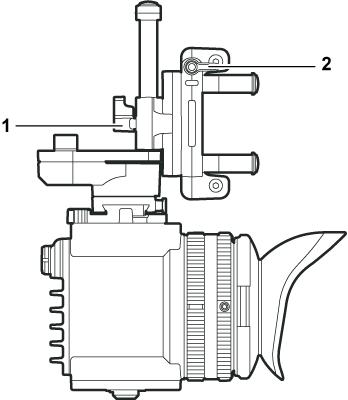 body_parts_vf_upperside