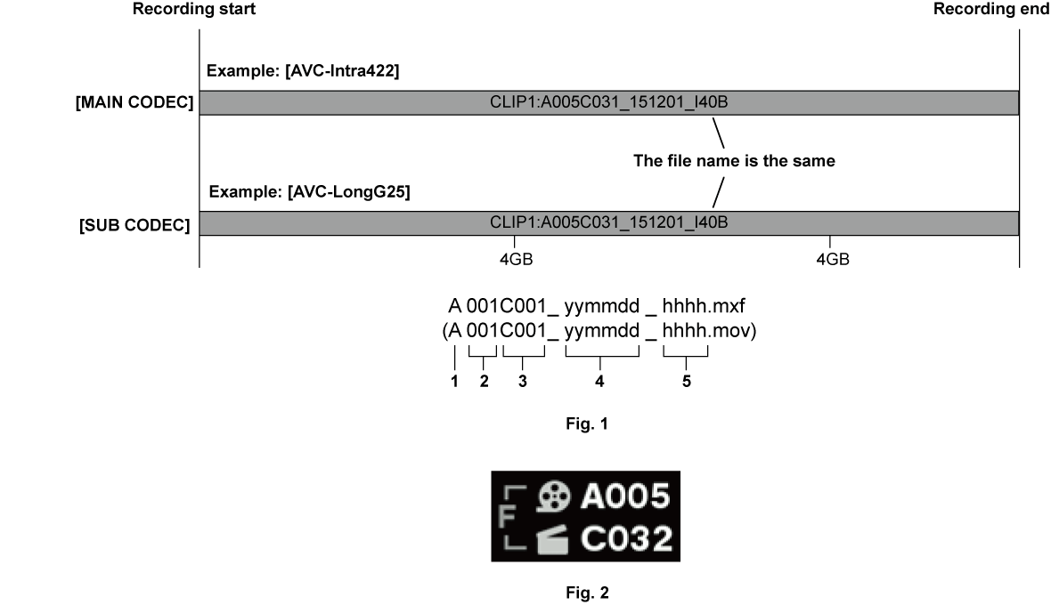 co_other_file_name_cine_hs