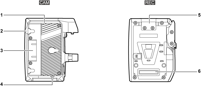 body_parts_extension_backside