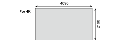 co_other_normal_rec
