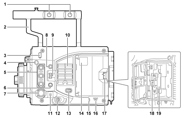 body_parts_LT_leftside