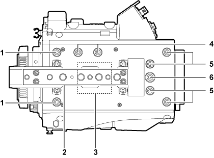 body_parts_LT_upperside