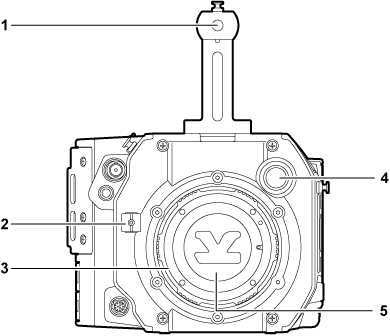 body_parts_LT_frontside