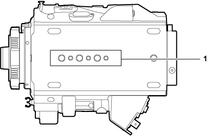 body_parts_LT_lowerside