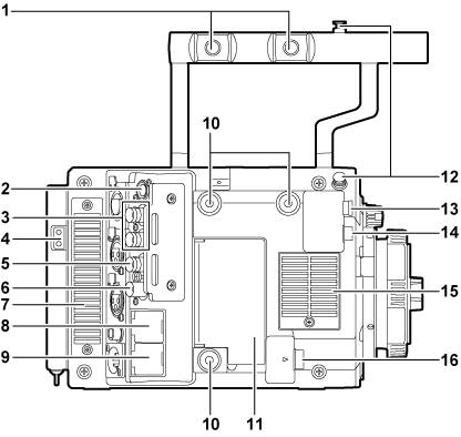 body_parts_LT_rightside