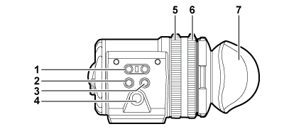 body_parts_vf_leftside