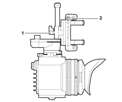 body_parts_vf_upperside